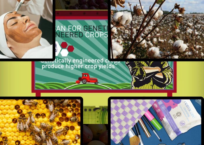 Organic Wish - Website Design And Re-build And Recovery